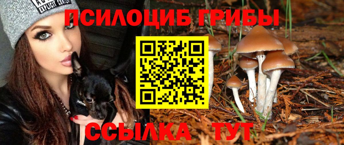 Туапсе  закладки  Вход с VPN  Псилоцибиновые грибы Psilocybe  Галлюциногенные грибы мухоморы 